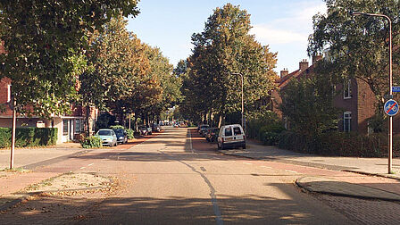 Huidige situatie van de Javalaan ter hoogte van de Sportparklaan.