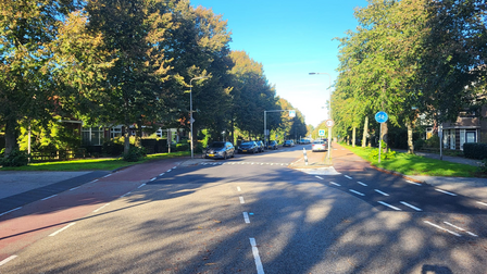 De nieuwe verkeersdrempel op de Javalaan.
